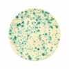 Puglia Aquamarine Splatter Dinner Plate 27cm -Home Kitchen NC0046 PugliaAquamarineSplatterDinnerPlate27cm