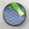 Blue Wave Dinner Plate 29cm -Home Kitchen Untitled 1 0007 tableware 13of56 jpg