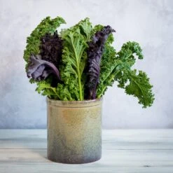 Lagoa Kitchen Utensils Jar -Home Kitchen lagoa utensil pot kale