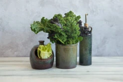 Lagoa Kitchen Utensils Jar -Home Kitchen lagoa utensil salt pig oil pourer