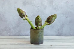 Lagoa Kitchen Utensils Jar -Home Kitchen lagoa utensils artichokes