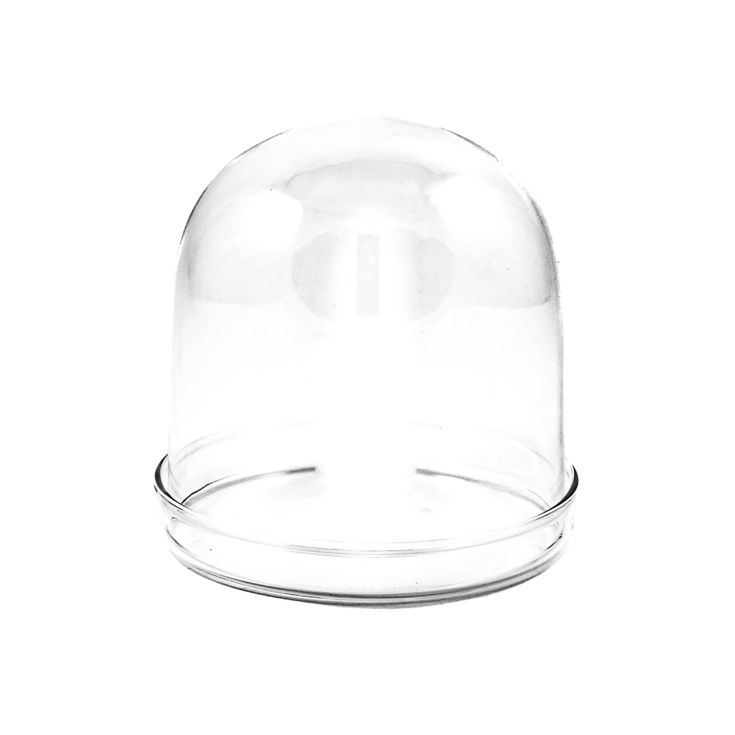 2 X Large Domed Glass Cloche - 11cm Dia 3 2 X Large Domed Glass Cloche - 11cm Dia