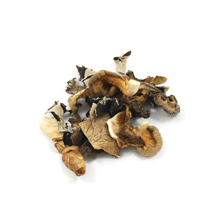 Mixed Wild Mushrooms 500g 4 Mixed Wild Mushrooms 500g - Image 2
